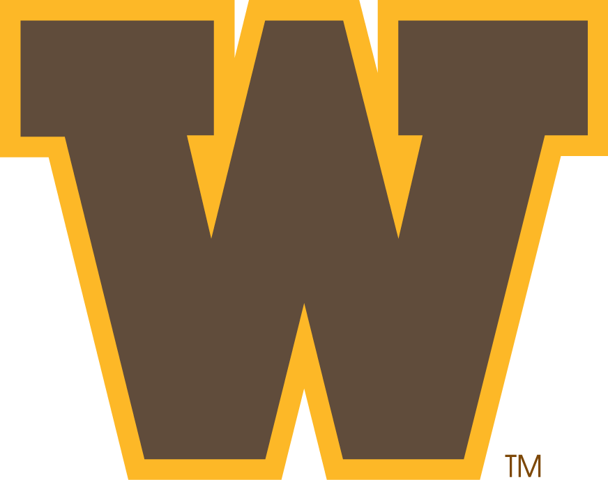 Wyoming Cowboys 0-2006 Alternate Logo diy iron on heat transfer
